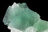 Green, Octahedral Fluorite Crystals on Quartz - China #149289-2